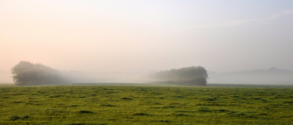 mist Strobosserweg