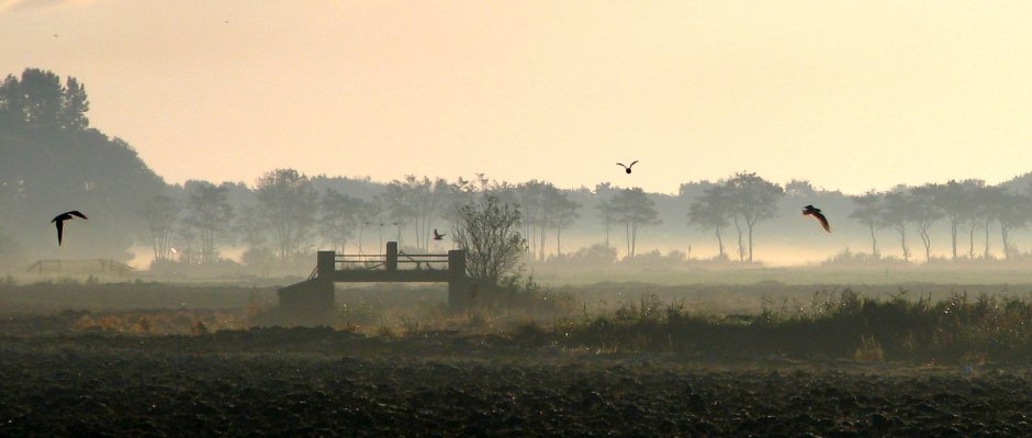 voormalig brugje Miedfeart onder Dokkum