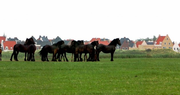 Esonstad Oostmahorn (7 jul '06) 