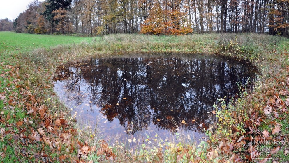 Havelterberg - Darp, bij Steenwijk 4 (nov 2010) 