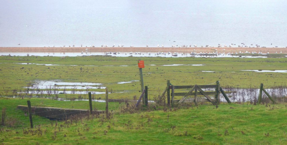 Hoek van de Bant Lauwersmeer 