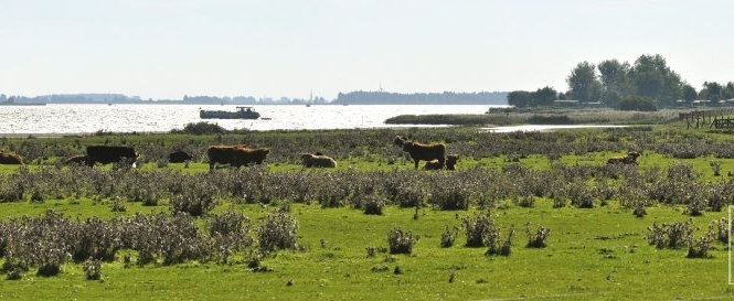 Lauwersmeer Hoek vd Bant Oostmahorn (29 sep '13) 