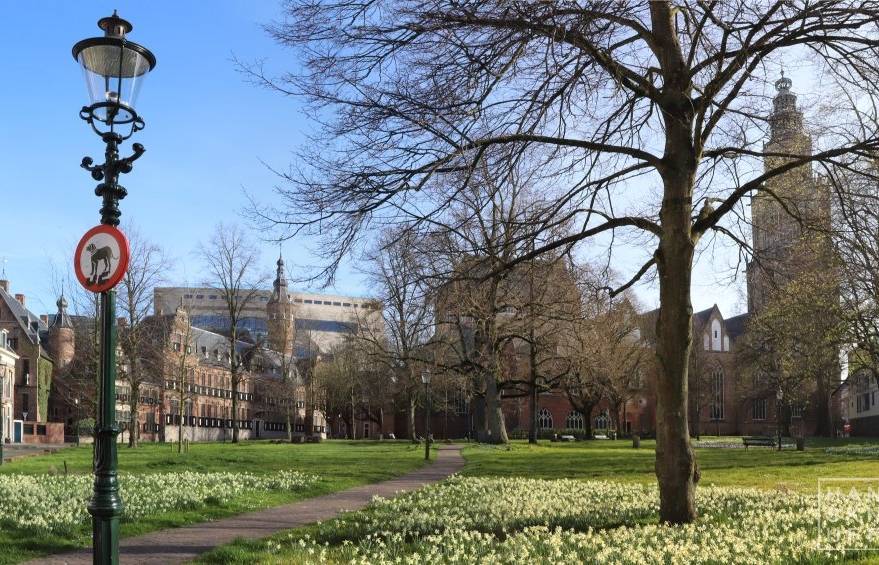 Martinikerkhof > Zuid - Provinciehuis Forum Martinikerk/-toren april 2020