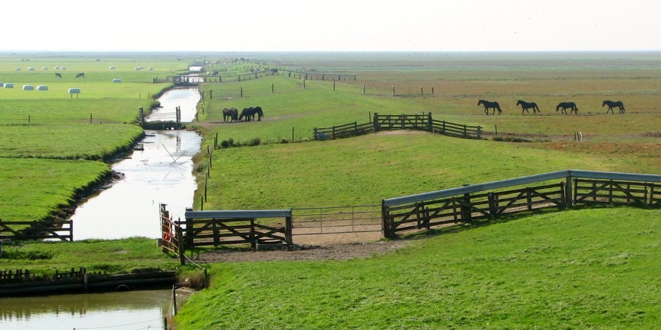 Noorderleech Holwerd (13 sep '06) 