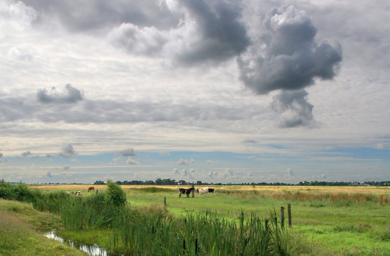 Rijpkerkerpolder 2 (13 jul '16) 