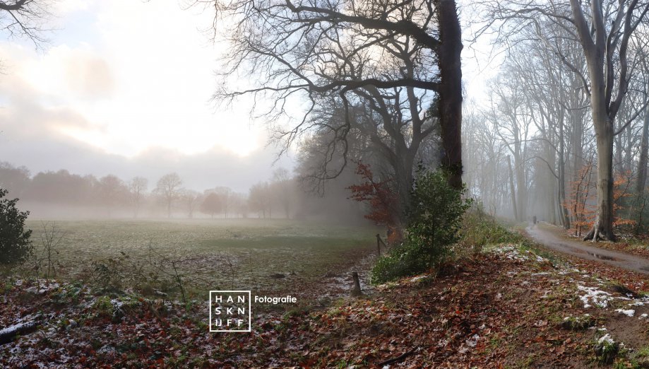 Stroomdal Drentsche Aa, die ene dag met een beetje sneeuw ... - Direct vanaf Rijksstraatweg Glimmen het bos inwandelen; verdampende sneeuw legt laag mist over het land