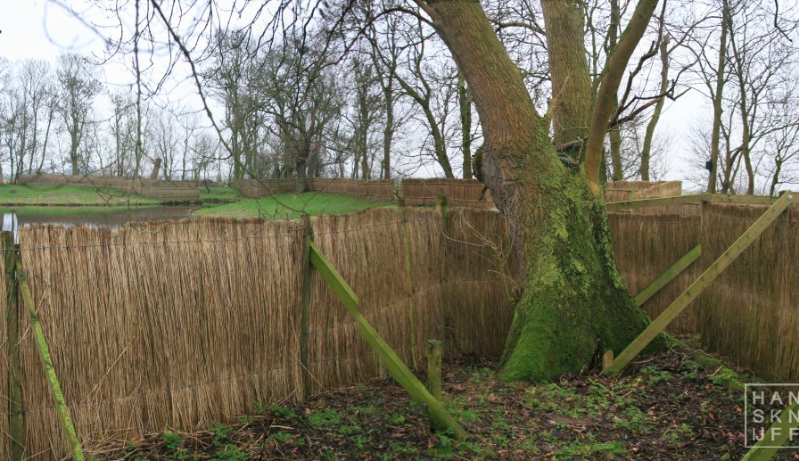 Van Asperen Eendenkooi 