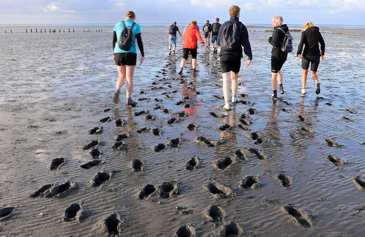 eerst door een dikke sliklaag, voor het zand komt ... 2 sep 2019