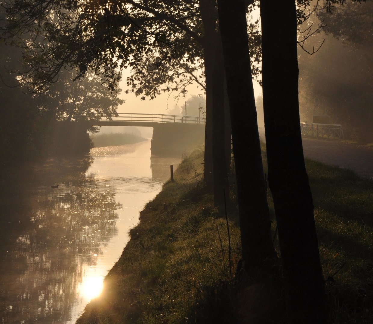 ochtendmist Strobossertrekvaart 3 (2 okt '11) 