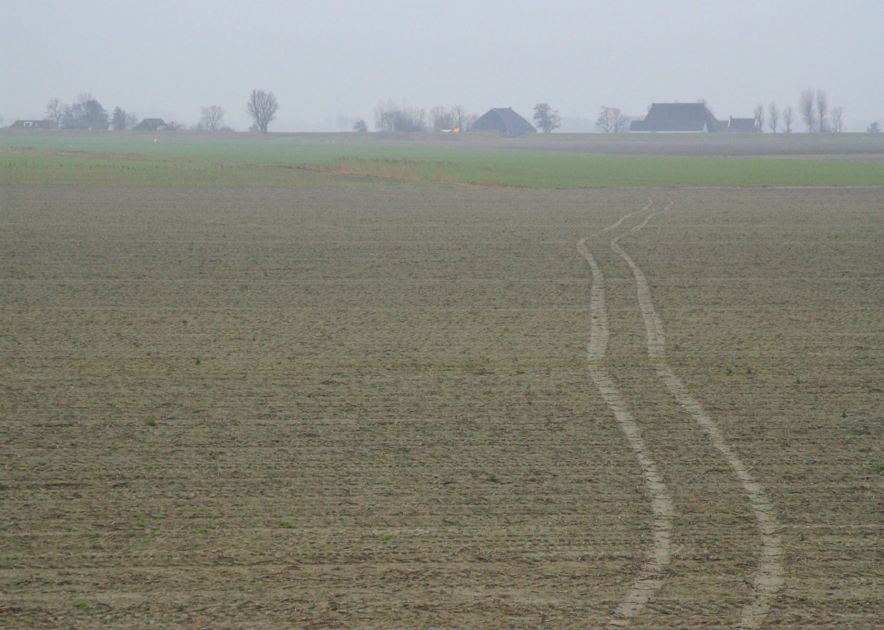 sporen in de klei Alddyk 