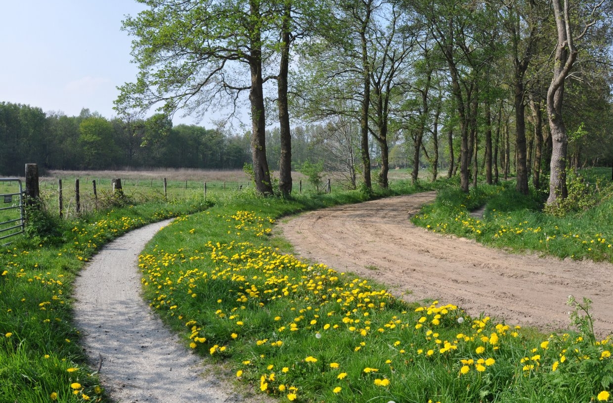 stroomdal Drentsche Aa, Glimmen 2 (25 apr '14) 