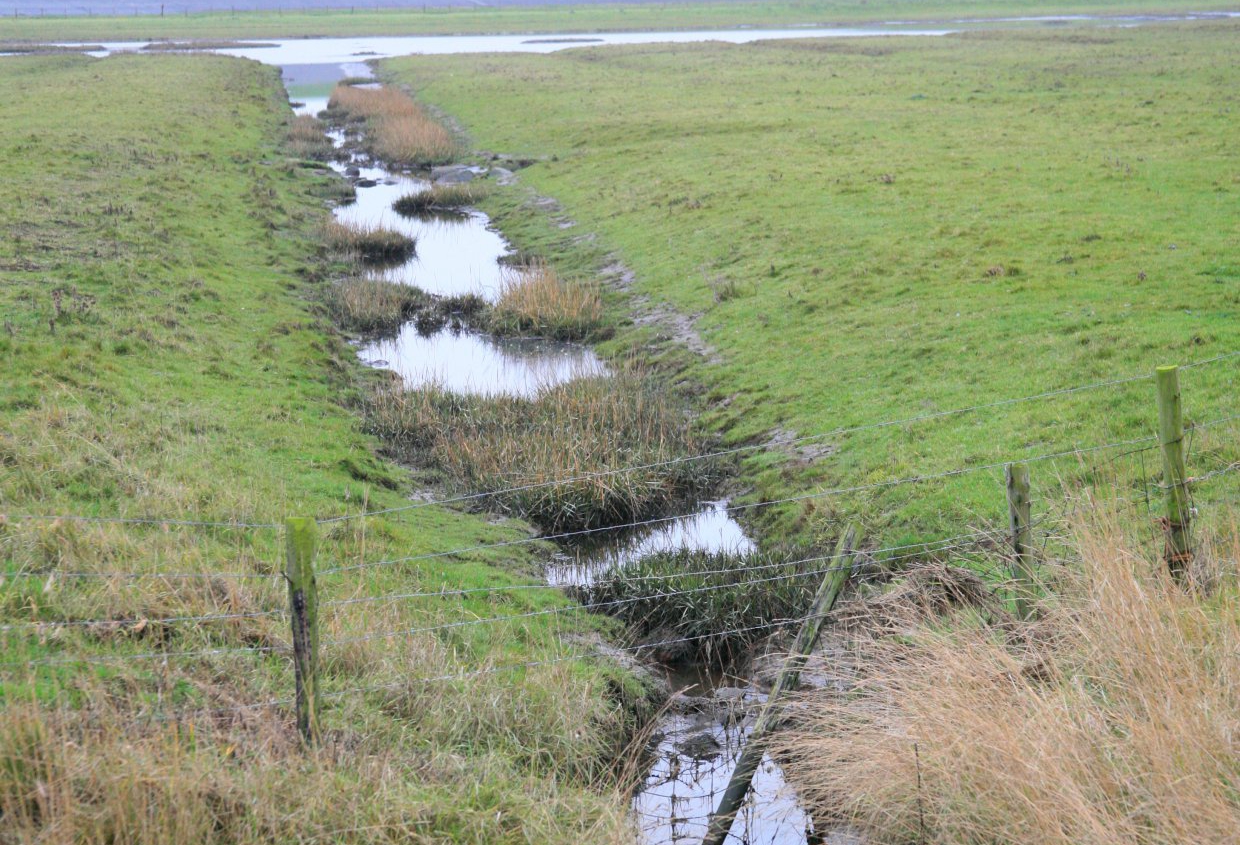 waterdoorgang zomerdijk Peazemerlannen 