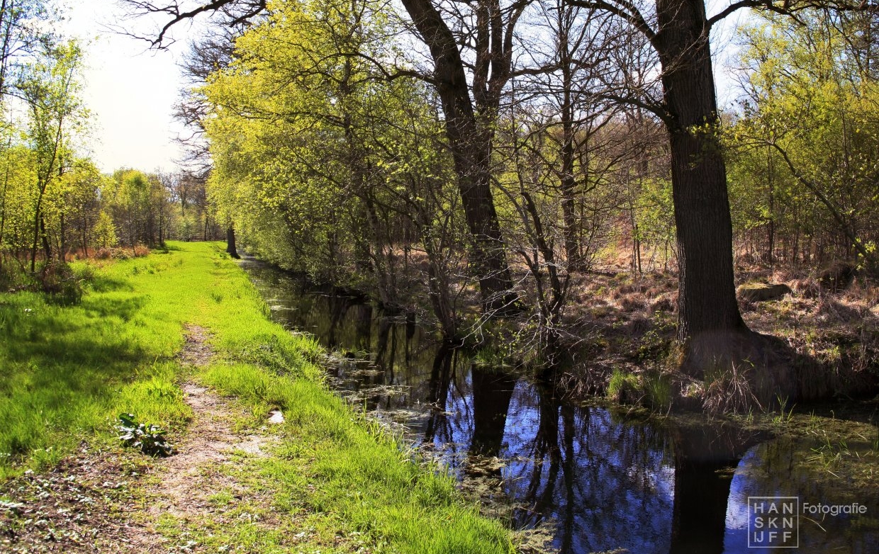 Swadde zuidzijde Fogelsangh State Veenklooster 3 (29 april '17) 