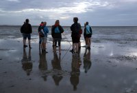 terugtocht van schemerdonker naar nachtelijke duister 2 sep 2019 