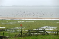 Hoek van de Bant Lauwersmeer 