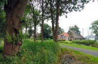 gehucht 'Nederland', Nat. Park Weerribben 1 (juli 2016) 