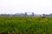 oude spoorbrug over de IJssel tussen Zwolle en Hattem, links de IJsselcentrale (20 mei '05) 