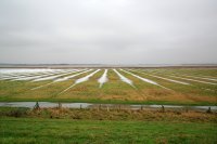 Lauwersmeer Oostmahorn Ezumazijl 