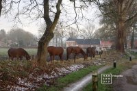 Stroomdal Drentsche Aa - Bij de Rijksstraatweg (omgeving Appelbergen)