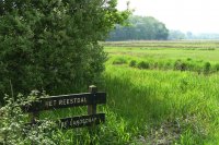 natuurgebied Reestdal, Overijssel 1 (mei 2016) 