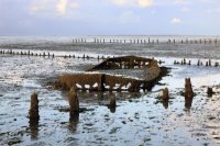 scheepswrak bij Wierum, Schiermonnikoog aan de horizon 2 sep 2019 