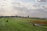 op de dijk bij Wierum 2 sep 2019