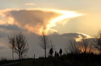 avondwandeling onder aambeeldwolk - Tolhuispark Dokkum (17 dec '06) 