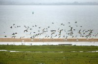 Hoek van de Bant Lauwersmeer 
