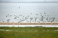 Hoek van de Bant Lauwersmeer 