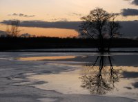 vrieskou Rijpkerkerpolder (23 jan '07) 