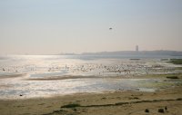 bij de waddendijk West-Terschelling 