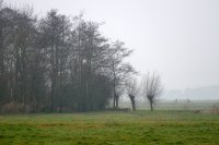 Anjumer Kolken Van Asperen Eendenkooi 