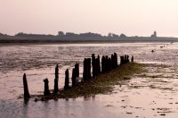 wadlopen boven Wierum 2 (24 jun '05) 