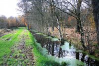 Swadde zuidzijde Fogelsangh State Veenklooster 1 (17 nov '17) 