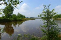 natuurgebied Reestdal, Overijssel 7 (mei 2016) 