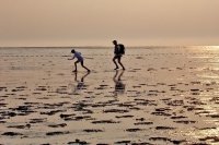 wadlopen boven Wierum 1 (24 jun '05) 