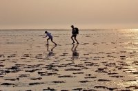 wadlopen boven Wierum 1 (24 jun '05) 