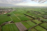 van woudenlandschap (boomsingels) naar klei (groen rond boerderijen) Dokkum (l) (28 okt '12) 