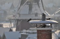 sneeuw Dokkum 6 (3 dec '10) 