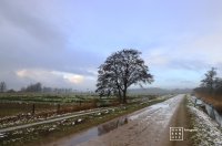 Stroomdal Drentsche Aa - De lagere gronden rond de Drentsche Aa, dichtbij de snelweg A28 (Groningen-Assen)