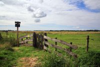 Rijpkerkerpolder 1 (13 jul '16) 