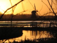 Rijpkerkerpolder (2 feb '07) 