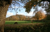 Fogelsangh State Veenklooster (17 nov '17) 