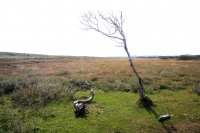 duinen Oosterend 