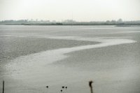 Lauwersmeer Oostmahorn 