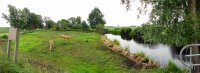 gehucht 'Nederland', Nat. Park Weerribben 2 (juli 2016) 