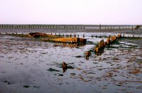 wadlopen boven Wierum 3 (24 jun '05) 