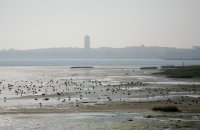 IMG 1418 bij de waddendijk West-Terschelling 5 4293 x 2808 - 4,87 MB