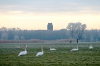 langs de Murk, Oudkerk (29 jan '06) 