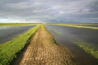 Noorderleech onder water (25 okt '14) 